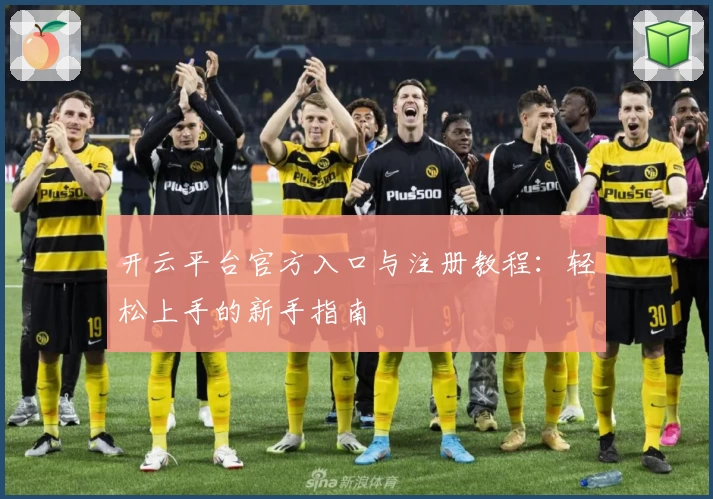 开云平台官方入口与注册教程：轻松上手的新手指南