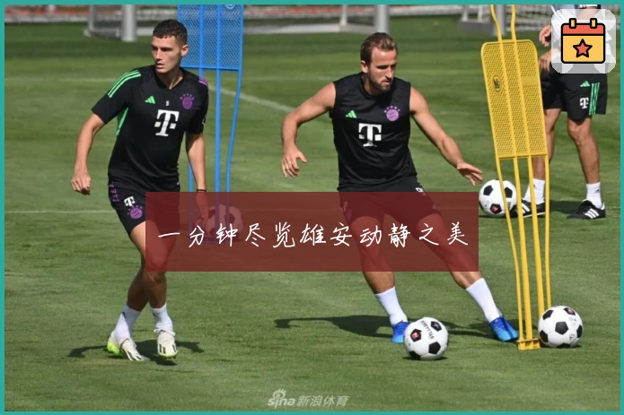一分钟尽览雄安动静之美