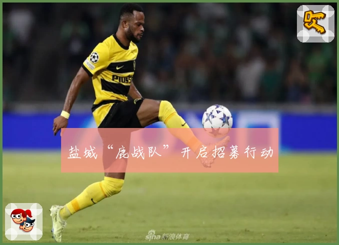 盐城“鹿战队”开启招募行动